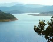确山明天天气